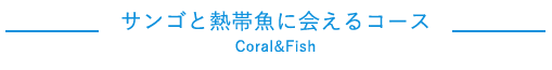 サンゴと熱帯魚に会えるコース
Coral&Fish